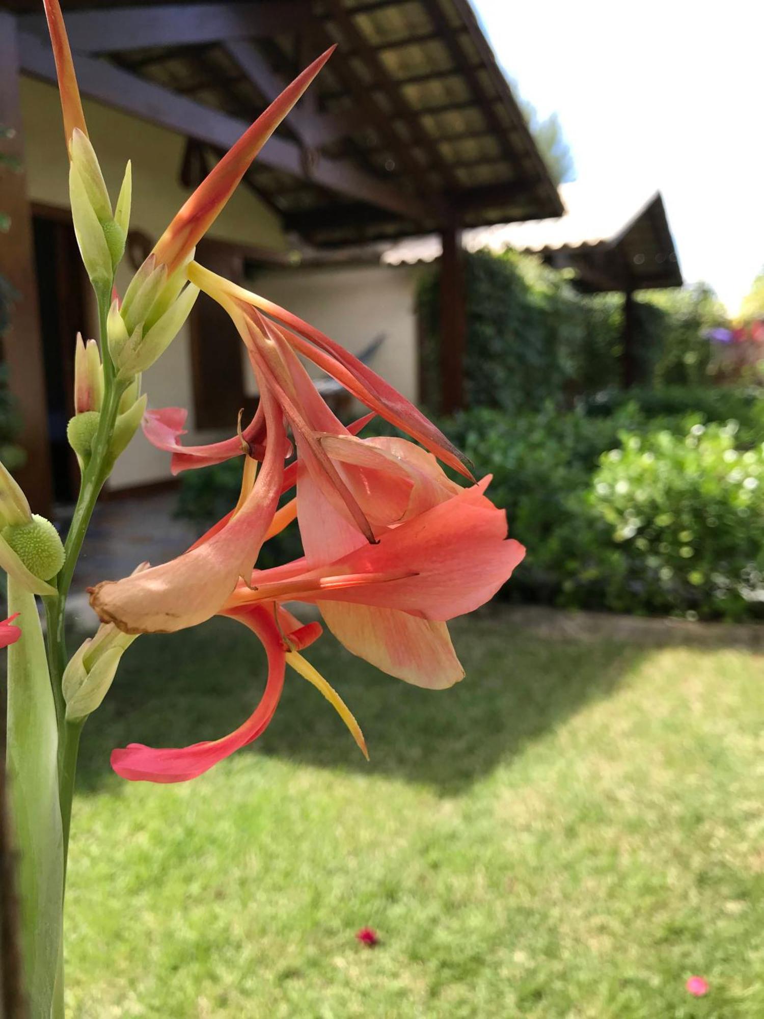 Pousada Rancho Paraiso Pôrto de Pedras Exteriér fotografie